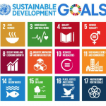 SDG Logo