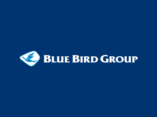 BlueBirdGroup-550x413